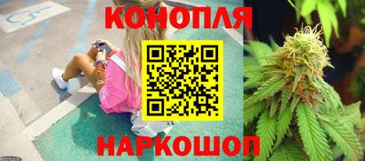 крисы Обнинск