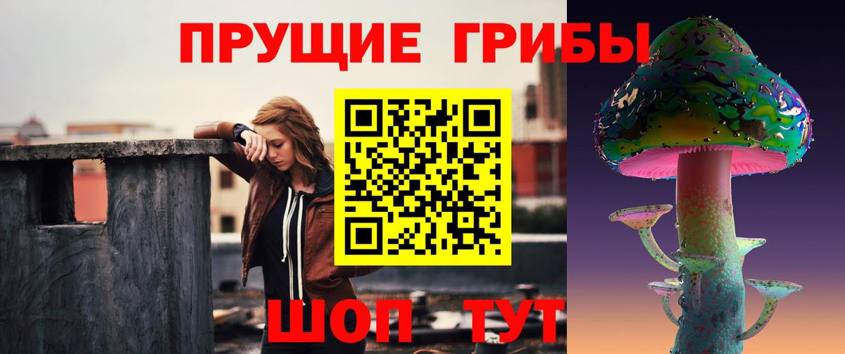 Галлюциногенные грибы Cubensis  Вход с VPN  Тимашёвск  наркотики  Псилоцибиновые грибы мухоморы 