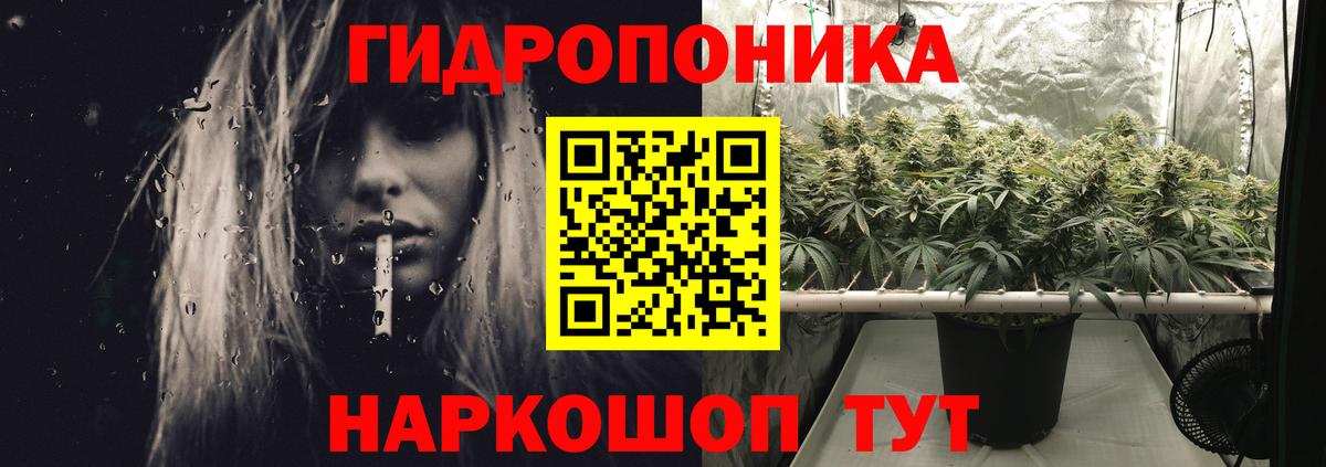 Шишки марихуана ГИДРОПОН  Канабис план  Тимашёвск  Шишки марихуана семена  Шишки марихуана Bruce Banner  Вход с VPN 